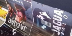 Vinyl Printing Services