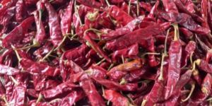 Dry Red Chilli
