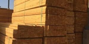 Pine Wood