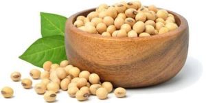 Soyabean