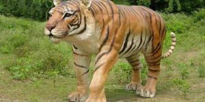 Life Size Fiberglass Tiger Statue