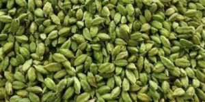 Green Cardamom