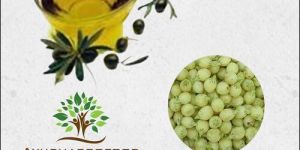 Mahua Oil