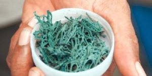 Organic Spirulina