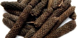 Long Pepper