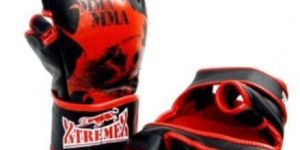Mma Gloves