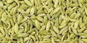 Fennel Seeds