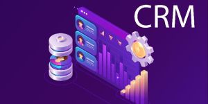 Custom Crm Development Service