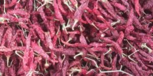 Byadgi Dry Red Chilli