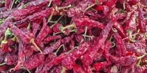 DABBI Dry Red Chilli