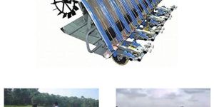 8 Row Paddy Transplanter