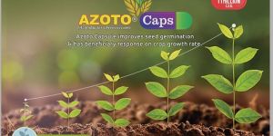 Azoto-Azotobacter-Bio Fertilizer