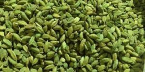 Green Cardamom