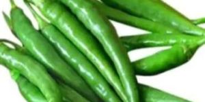 Fresh Green Chilli