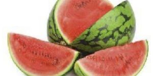 Fresh Watermelon