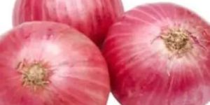 Red Onion