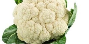 Fresh Cauliflower