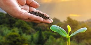 Integrated Farming Development in Organic Way