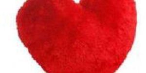 Fur Plain Red Foam Heart Shape Toy