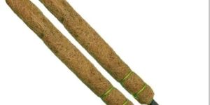 Moss Sticks