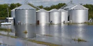 Mild Steel Grain Storage Silos