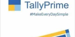 Tally Software Services