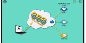 Value Added Service Tally Virtual User