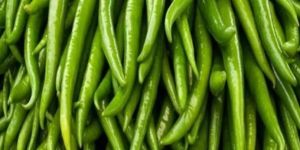 Fresh Green Chilli