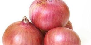 Red Onion