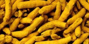 Turmeric Finger