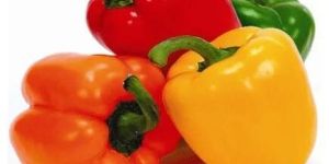 Fresh Capsicum