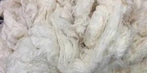 Cotton Waste
