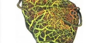 Artexdirect Fertility Painting