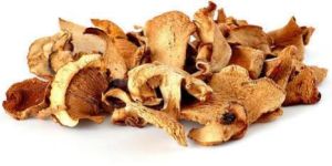 Dry Oyster Mushroom