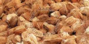 Semi Husked Coconut