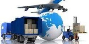 International Cargo Services