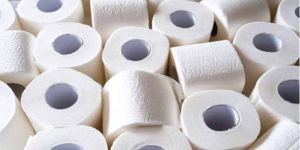Toilet Paper Rolls