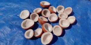 Copra Cutter