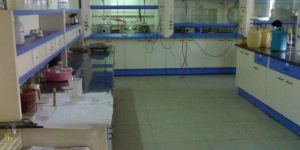 Lab Fume Hood