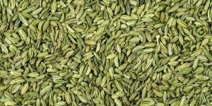 Fennel Seeds