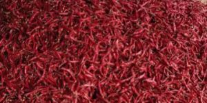 Dry Red Chili
