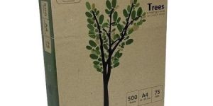 SOT Evergreen A4 75 GSM Recycled Printing Copier Paper