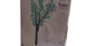 SOT Evergreen A4 80 GSM Recycled Printing Copier Paper