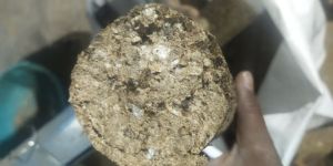 Biomass Briquettes