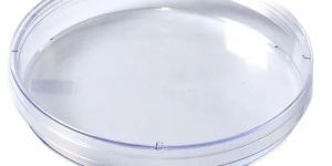 Quartz Glass Petri Dish