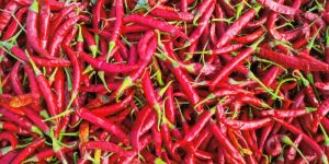 Dry Red Chili