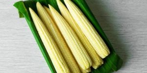 Fresh Baby Corn