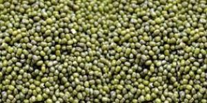 Green Moong
