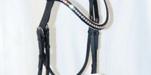 Horse Bridle