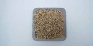 Ajwain Seeds